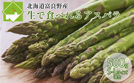 アスパラ 富良野産 生で食べられる サイズ混合 野菜【500g 30本前後】【先行予約】