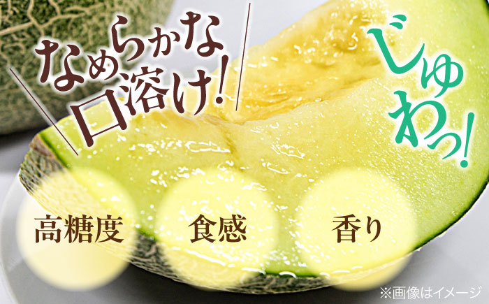 【先行予約】【2026年6月下旬から順次発送】 タカミ メロン Lサイズ 2玉入り（2.2kg〜2.5kg/玉） 愛媛県大洲市/にのみや農園 めろん 貴味 果物 フルーツ くだもの 青肉 高級　 [A