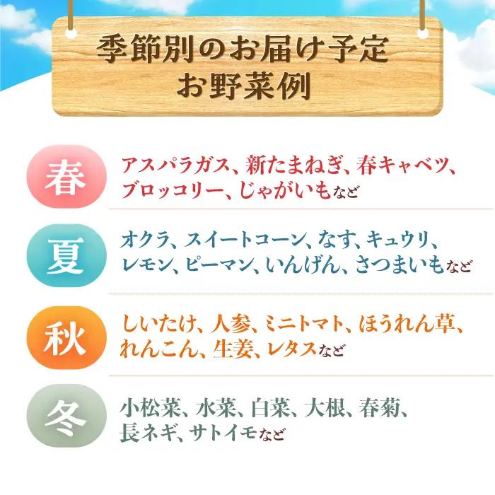 月2回お届け【24回定期便】諫早産 野菜の詰め合わせ 8・9品目程度 / 季節 旬 野菜 やさい 春野菜 夏野菜 秋野菜 野菜セット 詰め合わせ 野菜定期 野菜定期便 定期便 / 諫早市 / 肥前グロ