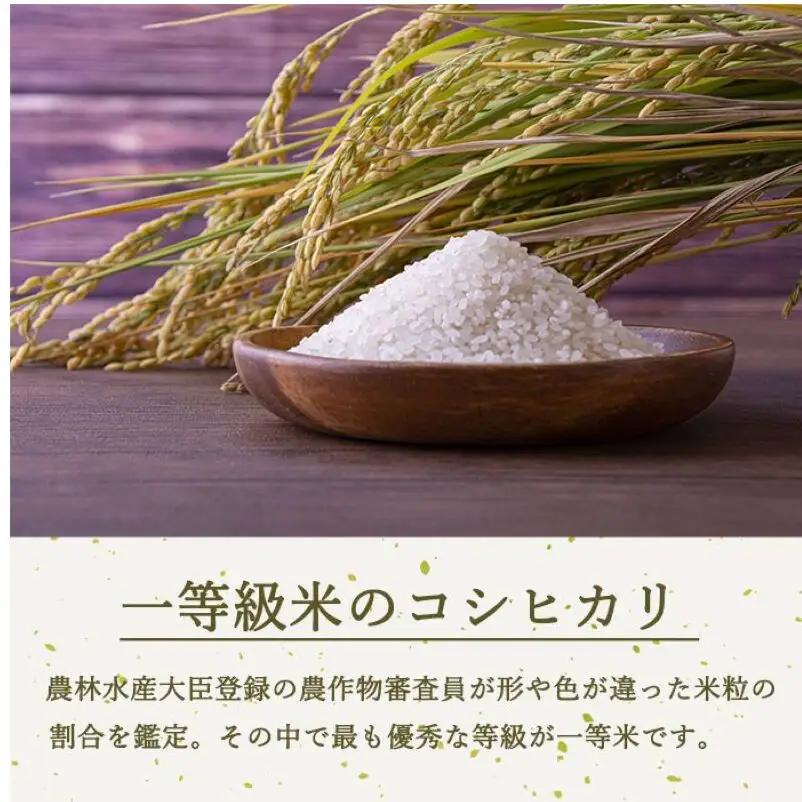 定期便 12ヶ月 ベストファーマーズ賞受賞 コシヒカリ 無洗米 2kg 無農薬 無添加 令和8年産 お米 チャック付 チャック 小分け 少量 少量パック 白米 精米 一等米 産地直送 送料無料 長野 