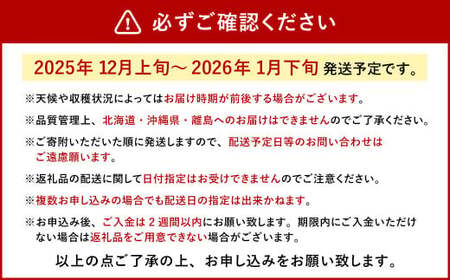 今季初採れあまおう2パック【数量限定】 あまおう いちご イチゴ 苺 果物 くだもの フルーツ【2025年12月上旬～2026年1月下旬発送予定】