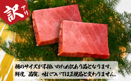 訳あり キハダマグロ 約1kg 【 まぐろ 】 カネ八商店
