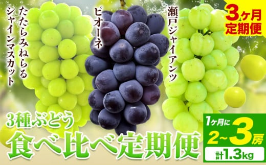 【2025年産先行予約】3ヶ月 定期便 食べ比べセット たたらみねらる シャインマスカット 瀬戸ジャイアンツ ピオーネ 2~3房(計1.3kg)《8月下旬-10月下旬頃出荷》岡山県 笠岡市 マスカット ぶどう ブドウ 葡萄 フルーツ 果物 たたらみねらる 食べ比べ セット