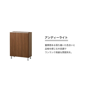 シューズボックス 【リアル 75 LO】 アンディーライト_シューズボックス リアル 75 LO 大川家具 カラー アンディーライト 靴箱 靴 収納 可動棚 お洒落 国内製造 お取り寄せ 福岡県 久留