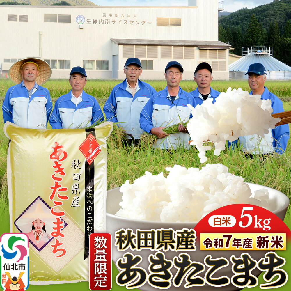 【ふるさと納税】＜令和7年産 新米＞【白米】あきたこまち 5kg（5kg×1袋）精米 秋田県仙北市産 5キロ