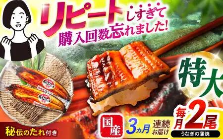 【3回定期便】【諫早淡水】特大うなぎ蒲焼2尾 / 特大 うなぎ ウナギ 鰻 国産うなぎ 国産鰻 蒲焼き 蒲焼 かばやき うな重 うな丼 / 諫早市 / 諫早淡水株式会社 [AHAT054]