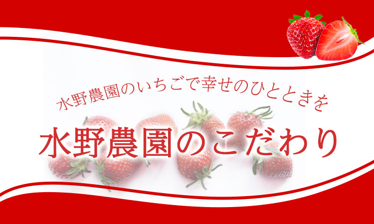 【先行受付】【訳あり】いちご『 あまりん 』サイズミックス １kg以上 【潰れが気にならない方限定】 【苺】 イチゴ おおきい スイーツ あかい 果物 ふるさと納税 いちご うまい フルーツ 期間限定