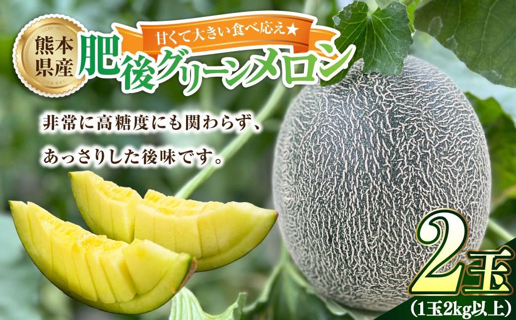 
                  甘くて大きい食べ応え ☆ 肥後グリーンメロン メロン グリーンメロン 果物 くだもの フルーツ 果実 国産 熊本県産 【2026年6月上旬発送開始】
                