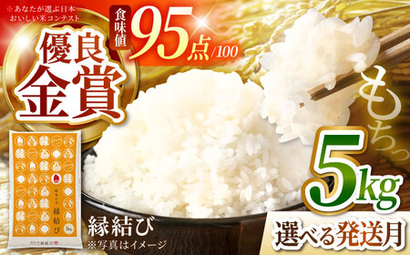 精米 R7年産 5kg [3月発送］米 多治見市  [THU001-3]