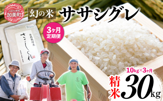 《 先行予約 》 【 3回 定期便 】ササシグレ 精米 10kg × 3回 （ 合計 30kg ）