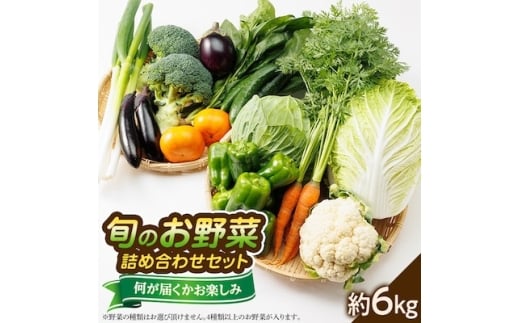 ＜発送月固定定期便＞《春・夏・冬》旬のお野菜詰め合わせセット6kg全3回【4079803】