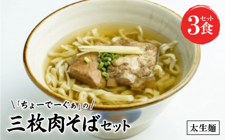 〈太生麺〉ちょーでーぐぁ 沖縄そば(三枚肉)3食セット【配送不可地域：離島】【1522917】