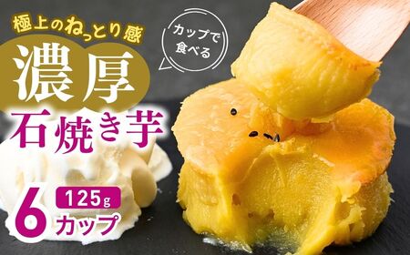 【焼き芋】カップで食べる濃厚石焼き芋 6個 (合計750g) | 焼いも 茨城県 龍ケ崎市