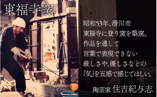 白釉ぐい?【住吉 紀与志 （東福寺窯）】 [A-030001]
