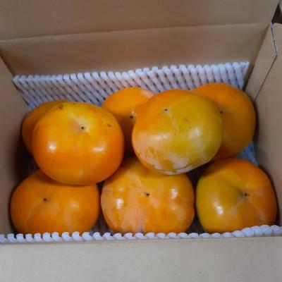 ふるさと納税 橋本市 柳フルーツ園の訳あり富有柿 約2kg