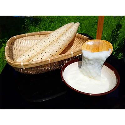ふるさと納税 五戸町 【青森県五戸町特産】長芋　5kg |  | 03