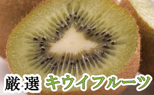 
            ＜11月より発送＞厳選 キウイ1kg+250g（傷み補償分）【扁平果】/ 和歌山 フルーツ 果物 くだもの 旬 キウイフルーツ キウイ 栄養たっぷり【ikd702B】
          