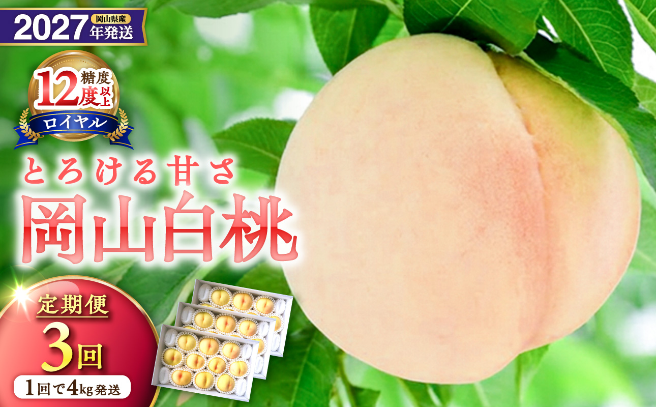 【2027年発送分・先行予約開始！】【定期便】岡山県産 白桃 最高ランク！「ロイヤル」約4kg×3回発送【桃】 2027年発送 定期便 ロイヤル 約4kg×3回