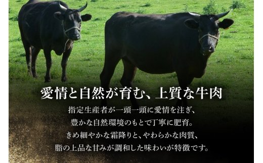 【和牛セレブ】常陸牛 焼肉 サーロイン 200g×4P 常陸牛 黒毛和牛 肉 牛肉 牛 冷凍 国産 お祝い 贈答 ギフト プレゼント 内祝い（茨城県共通返礼品） KM-003