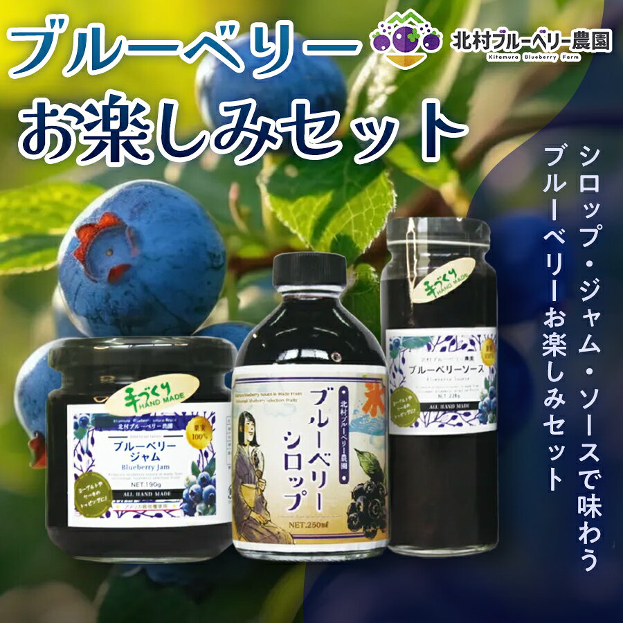 【ふるさと納税】【ブルーベリー お楽しみセット】ブルーベリーシロップ ・ ブルーベリージャム ・ ソース ×1セット ブルーベリー 国産 自然栽培 無農薬 化学肥料不使用 宮城県 石巻市 宮城 石巻