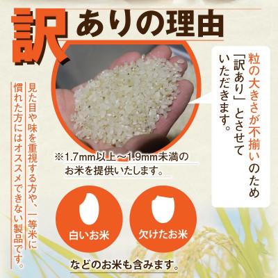 ふるさと納税 小浜市 令和7年産　家計応援米 10kg(10kg×1袋) |  | 01