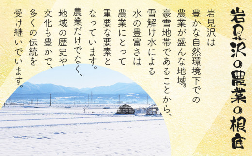 ＜令和8年産＞『100%自家生産玄米』善生さんの自慢の米 玄米おぼろづき 40kg｜北海道 岩見沢市 お米 新米【a104-088】【06140】