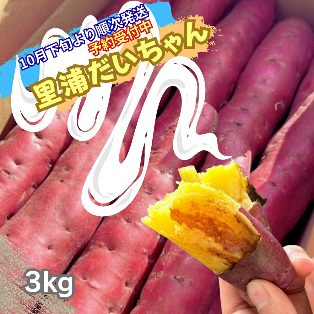 【ふるさと納税】【予約受付中・2025年10月下旬頃より順次発送】 鳴門産 さつまいも 里浦だいちゃん 3kg | なると金時 甘い ホクホク スイーツ 焼き芋 干し芋 天ぷら サラダ けんぴ きんつば