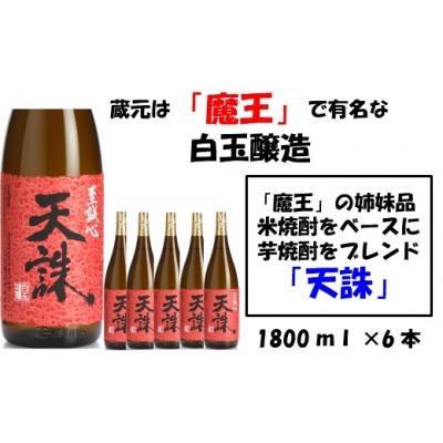 ふるさと納税 錦江町 【魔王の姉妹品】白玉醸造の「天誅」6本セット(No.4021-1)