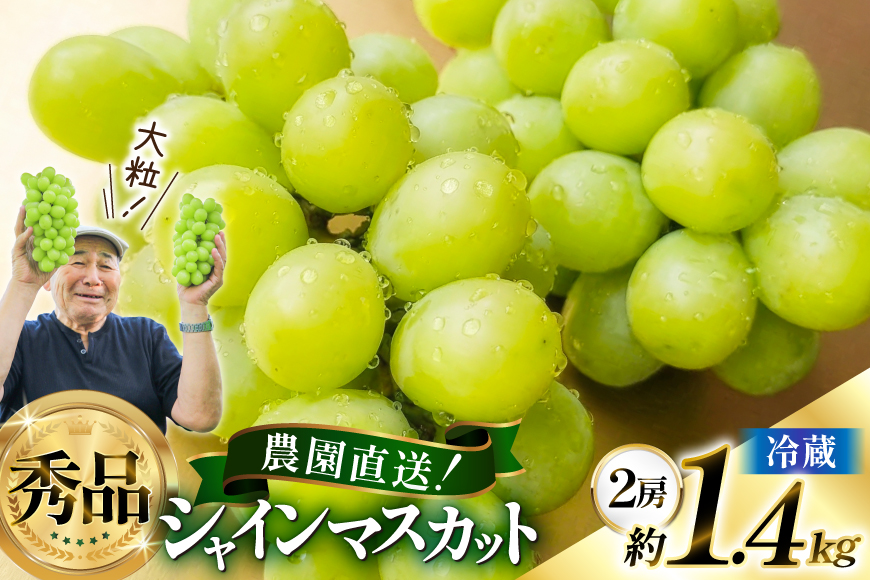 【期間限定発送】 シャインマスカット 2房 約 1.4kg [もん前の里 山形県 高畠町 tk06ays960004] フルーツ 果物 くだもの ぶどう ブドウ 葡萄 1.4キロ 甘い
