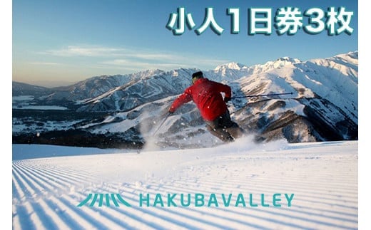 HAKUBA VALLEY 10 スキー場共通リフト券＜小人1日券3枚＞/長野県白馬村　北アルプス　白馬バレー　全10スキー場　ゲレンデ　スキー・スノーボード　先行予約　旅行　スノーリゾート　小学生　こども　子ども【L0160256】