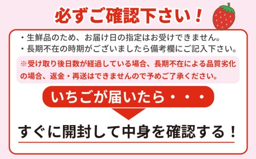 【先行受付】「埼玉農業大賞特別賞」を受賞！ 完熟朝摘み あまりん　250g×4　(16粒～30粒)　【苺】 イチゴ おおきい スイーツ あかい 果物 ふるさと納税 いちご うまい フルーツ 期間限定 人気いちご 甘い いちご 旬 直送 おすすめいちご ストロベリー 苺ジャム いちご 好きのための いちご