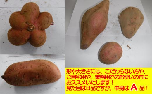 【訳あり】 中園ファーム の 種子島 安納いも １０ｋｇ　NFN459 【400pt】