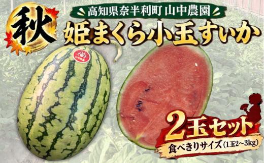 103004 山中農園の小玉スイカ２玉 姫まくら 【5月下旬～6月上旬】選べる 1玉 2玉 3玉 フルーツ 季節限定 春 産地直送 完熟 甘い こだま 西瓜 すいか 山中農園/高知県 奈半利町