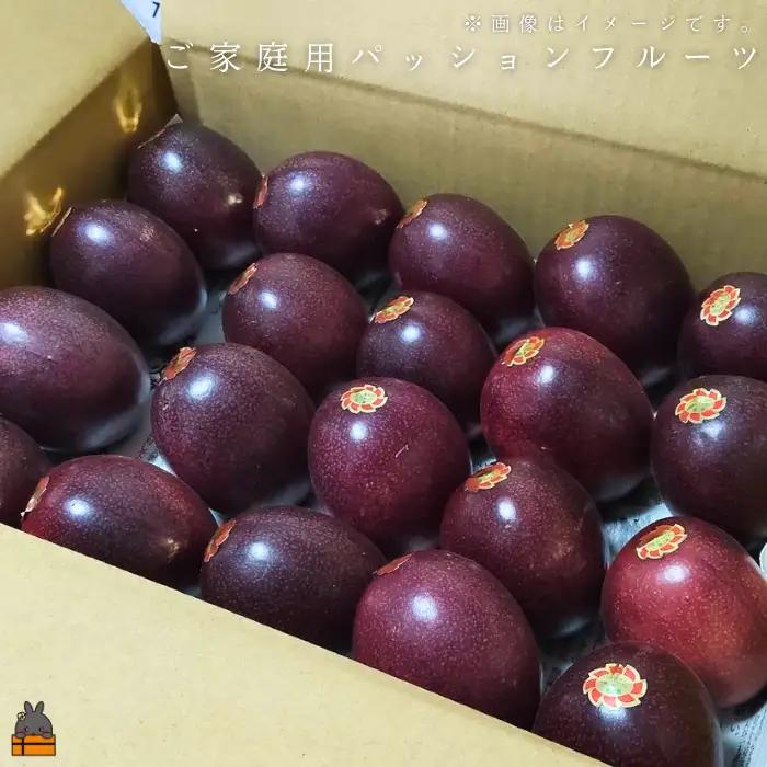 ≪今が旬！≫ 　徳之島 たいぼ農園さんのご家庭用パッションフルーツ（3㎏）フルーツ 果物