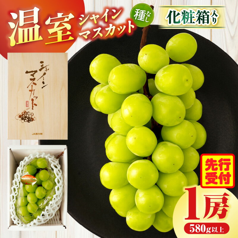 【ふるさと納税】温室シャインマスカット　1房化粧箱入り(580g以上) 果物 フルーツ デザート スイーツ マスカット 種無し 種無しマスカット 化粧箱入り 化粧箱 贈り物 ギフト 贈答 贈答用 特産 特産品 ぶどう 人気 お中元 グルメ おすすめ 香川県 三木町 送料無料