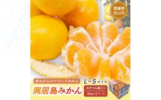 【先行予約】【11月下旬より順次発送】興居島みかん 約6kg（L～Sサイズ） みかん 柑橘 興居島 ごごしま ブランド 愛媛県 松山市