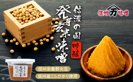 信州味噌 2種 セット 詰め合わせ 信州味噌