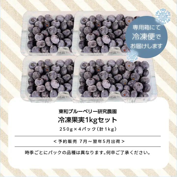 《2026年7月以降順次発送》ブルーベリー冷凍果実1kg（品種おまかせ） ブルーベリー フルーツ【東和ブルーベリー研究農園】