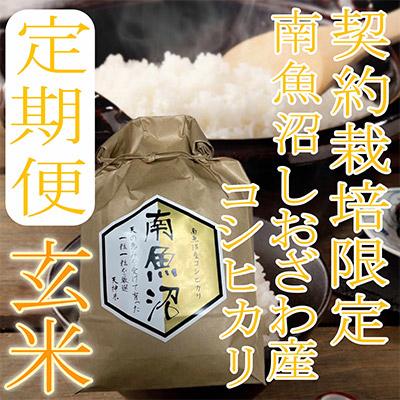 ふるさと納税 南魚沼市 【毎月定期便】【玄米2Kg】生産者限定 南魚沼しおざわ産コシヒカリ全3回