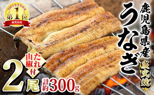 【0174320a】東串良町のうなぎ炭火白焼(無頭)(2尾・計約300g・タレ、山椒付) うなぎ 高級 ウナギ 鰻 国産 白焼き 鹿児島 ふるさと 人気【アクアおおすみ】