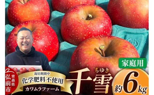 【26年10月下旬～発送】りんご 千雪 約6kg カワムラファーム【家庭用】青森 果物 フルーツ 林檎 リンゴ くだもの [アップル おいしい ちゆき 果実 果物 赤色 美味 林檎 弘前市]