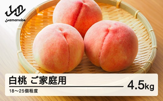 
                  《先行予約》2026年 山形県産 白桃 柔らかくなる桃 品種おまかせ ご家庭用 4.5kg  ※沖縄・離島への配送不可 ts-mohtk4500
                
