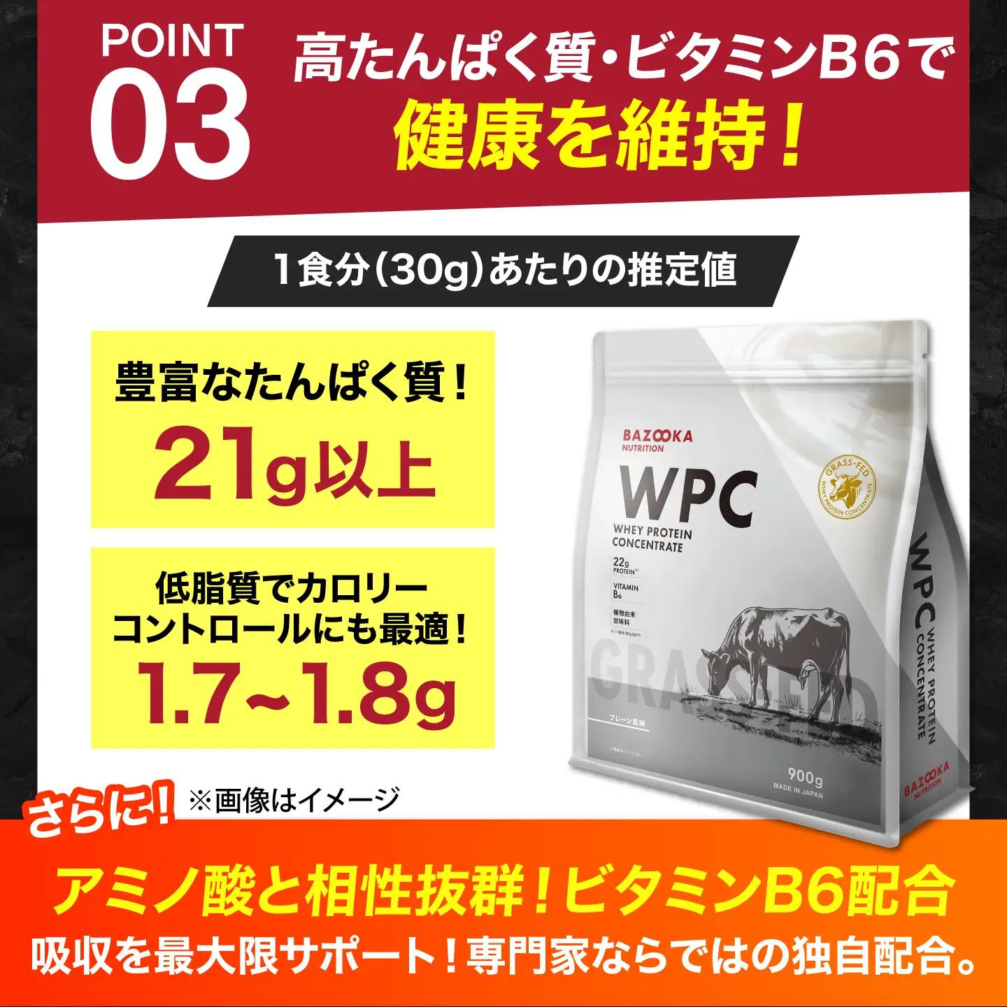 プロテイン BAZOOKA NUTRITION WPC（ホエイプロテイン）＜チョコレート＞ 900g｜バズーカ岡田監修 アルプロン[AIEN006]