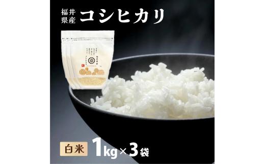 福井県産 コシヒカリ 精米 3kg（1kg×3）＜令和7年産 新米 / 数量限定 ＞【米 コメ お米 精米 白米 無洗米 玄米 ご飯 飯 こしひかり ブランド米 国産】[095-a301_A]
