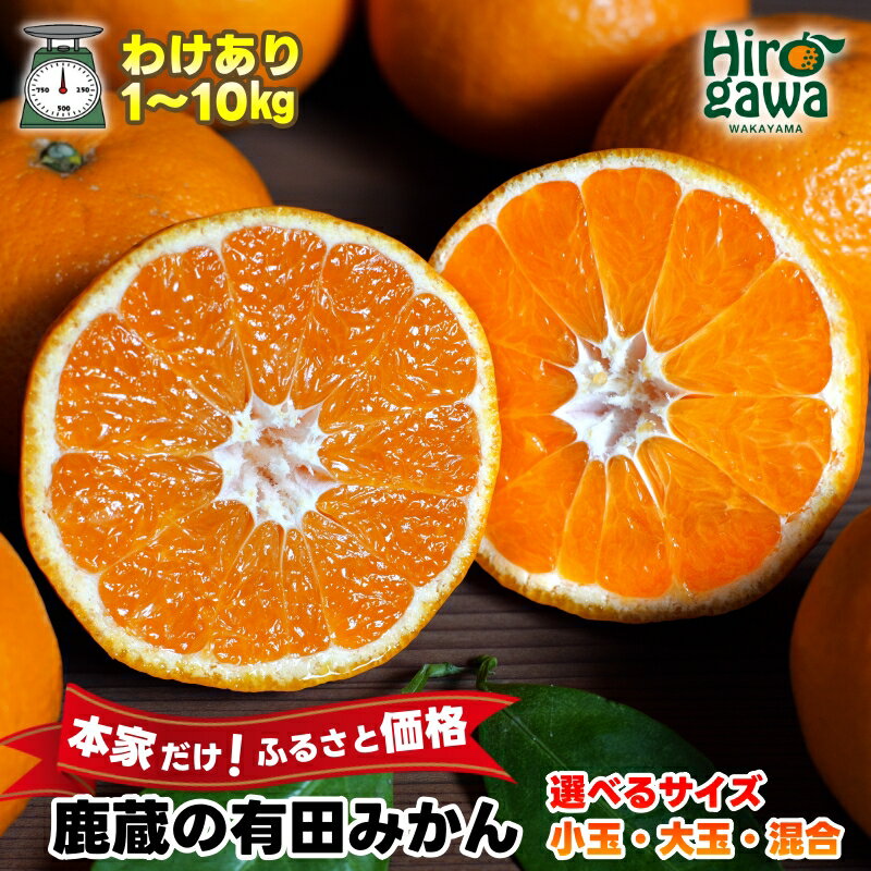 【ふるさと納税】 鹿蔵の 有田 みかん 訳あり 光センサー 選果 / 温州みかん 有田みかん 甘い 家庭用 和歌山 柑橘 2kg 3kg 5kg 10kg 5000円 6000円 ※10月～1月下旬順次発送 ※北海道・沖縄・離島への配送不可 //mandarin