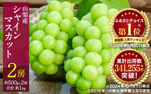 山梨産シャインマスカット2房(約1kg) ふるさと納税