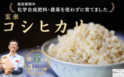 
炊きあがりのつやと香りが良く、うま味も強い　コシヒカリ　玄米６kg　佐久穂とさや農園〔ST-B3-2〕
