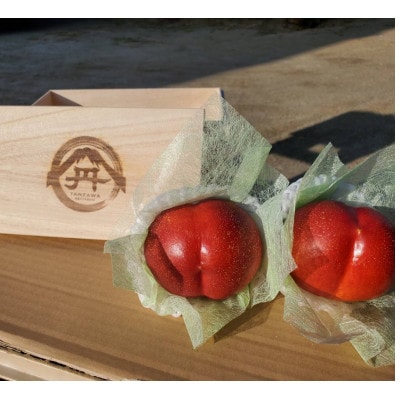 【お中元に贈る方続出】邪気を払う神聖な果物比類なき絶対糖度シャトーネクタリン2025年7月上旬発送【配送不可地域：離島・北海道・沖縄県・中国・四国・九州】