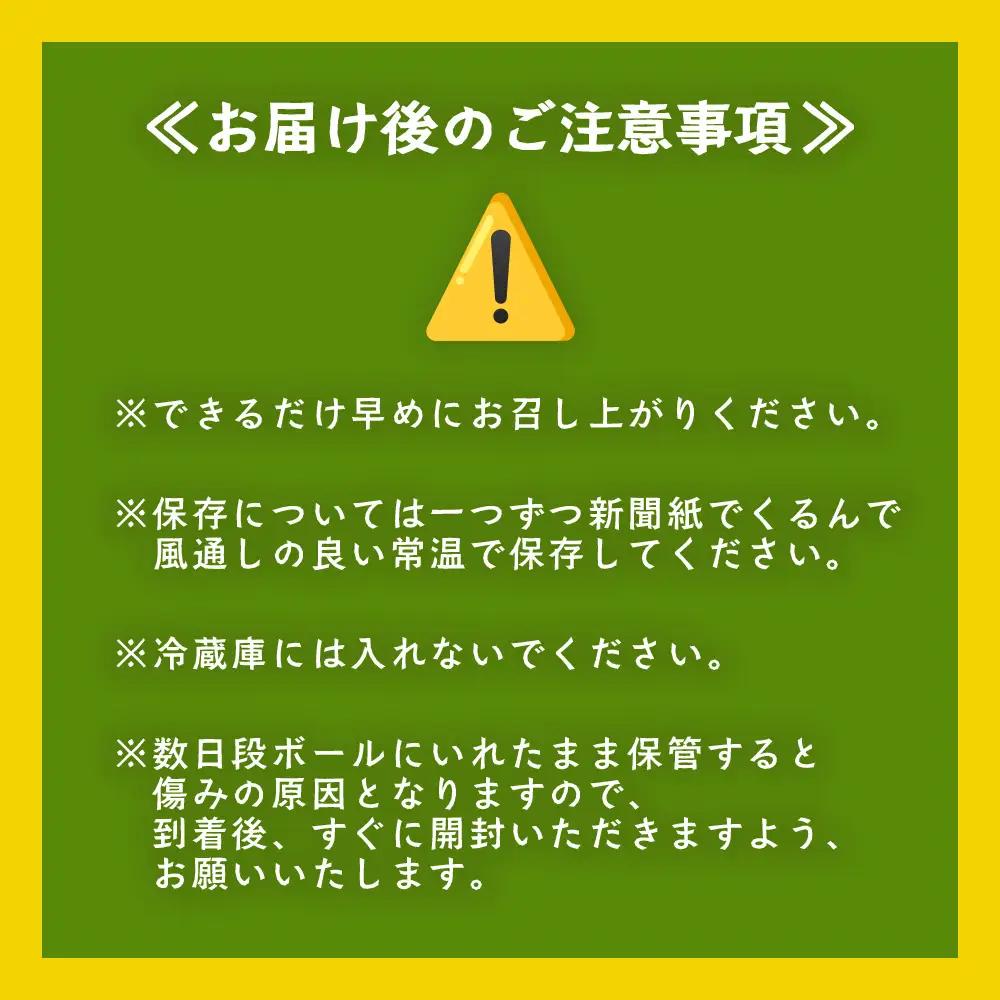 【先行予約：2026年9月中旬配送～】掘りたて さつまいも 紅はるか 5kg Lサイズ (おすそ分け袋／自宅で簡単レシピ付き）FR-532 | 秋の味覚 2026年秋収穫 新物 さつまいも サツマイモ
