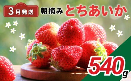 【3月発送】完熟いちご とちあいか 540g